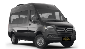 MERCEDES SPRINTER MINI BUS